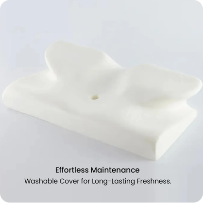 Memory Foam Cervical Support Pillow
